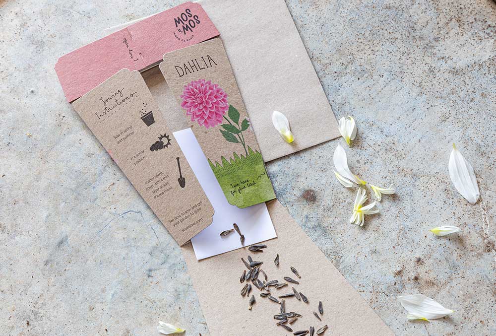Dahlia | Gift of Seeds