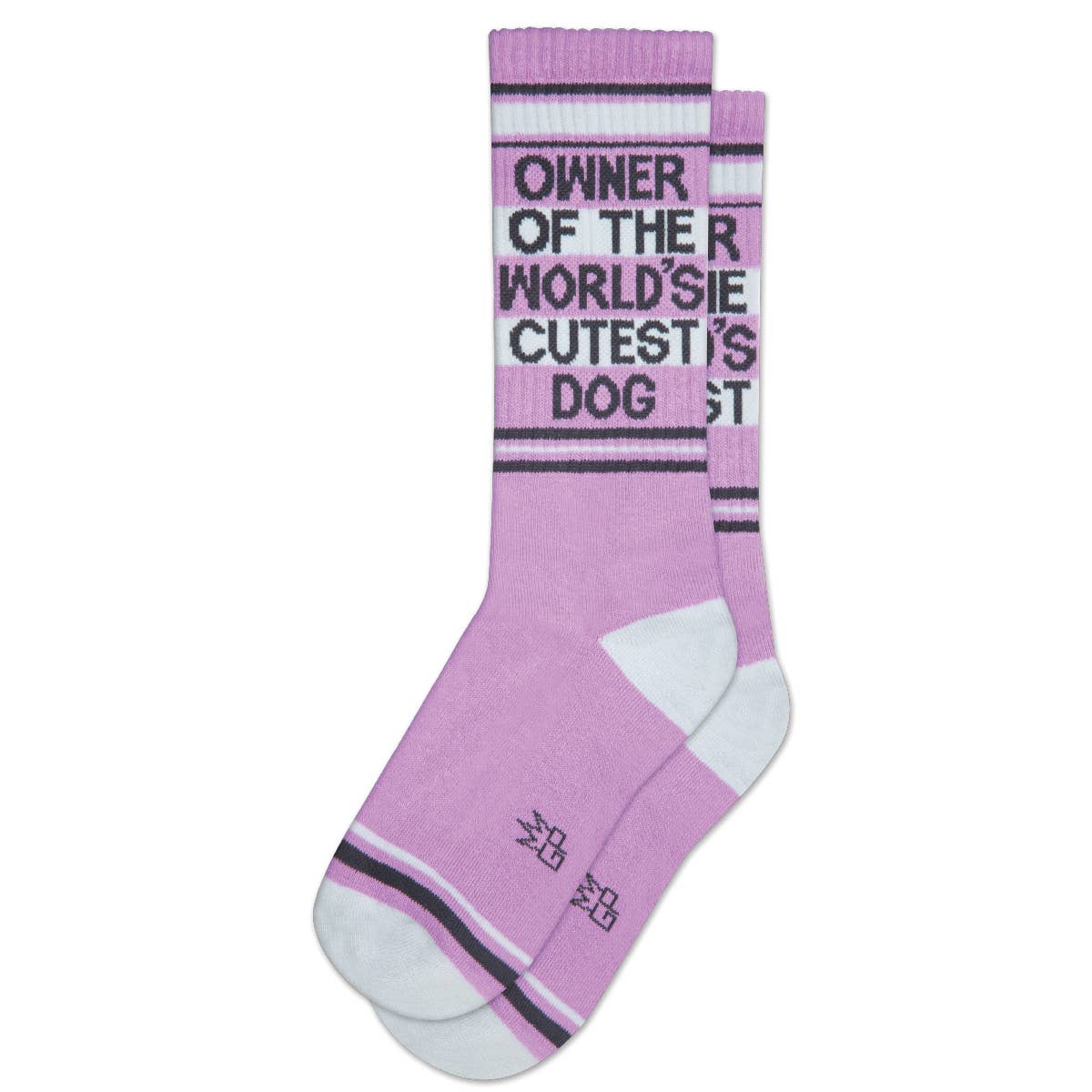 Owner Of The World's Cutest Dog | Gym Crew Socks