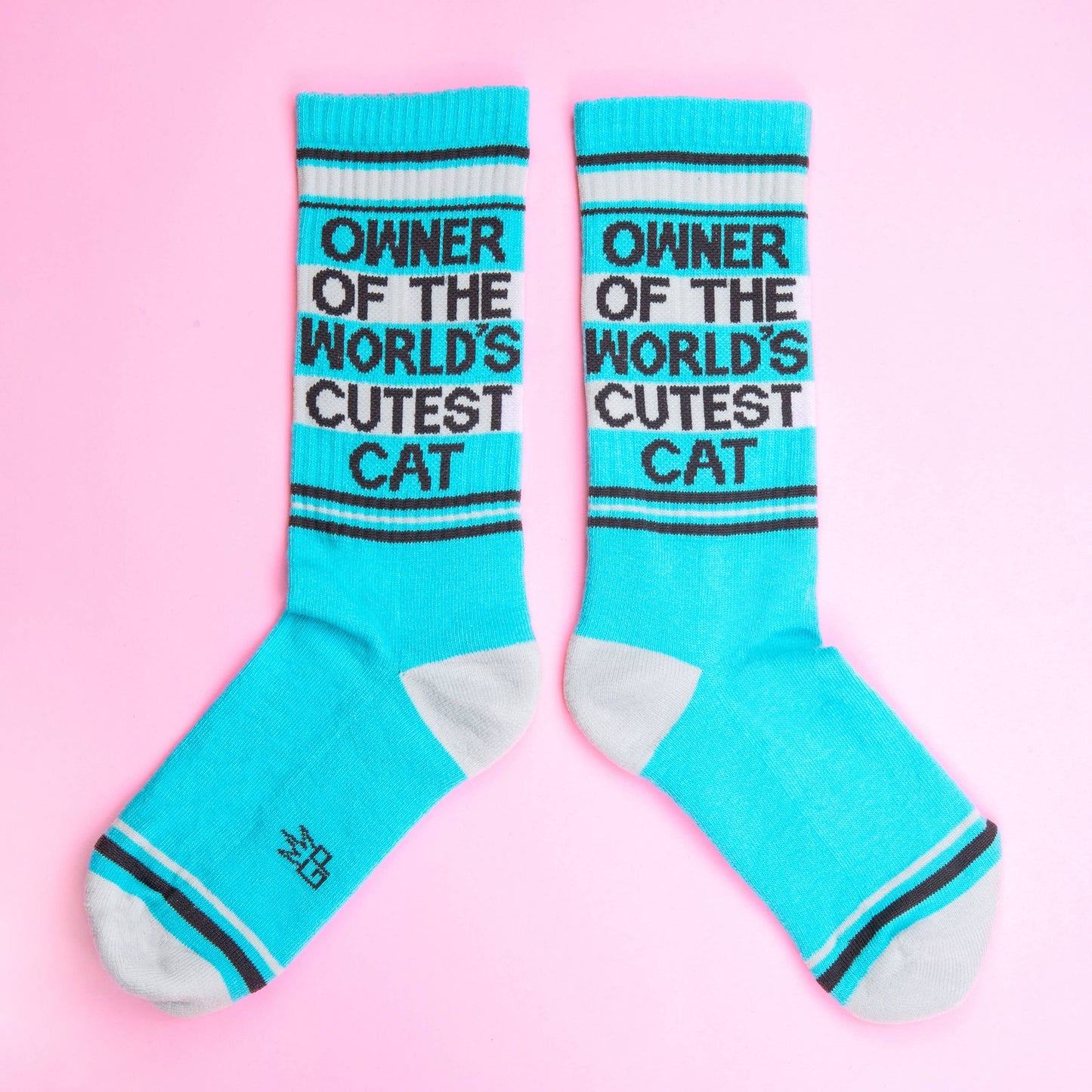 Owner Of The World's Cutest Cat | Gym Crew Socks