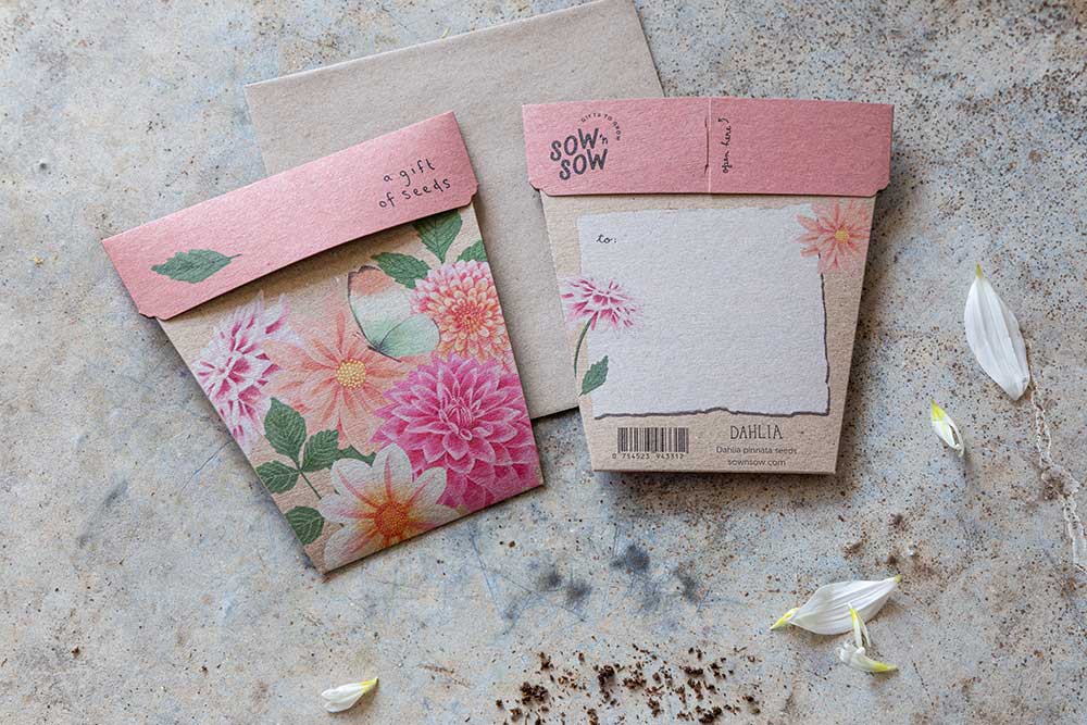 Dahlia | Gift of Seeds