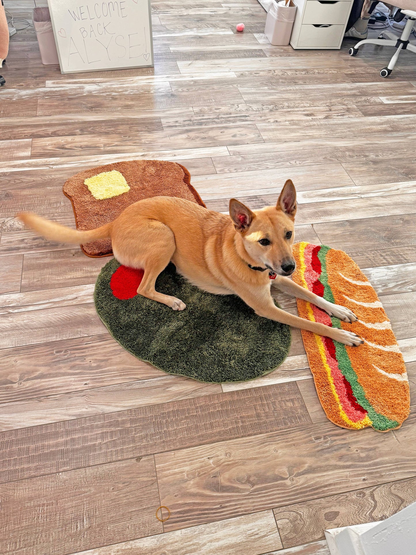 Sandwich Rug