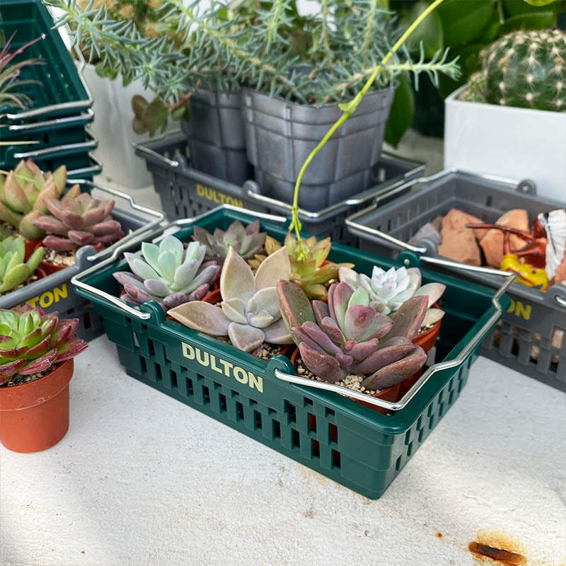 Mini Shopping Basket | Colours Available