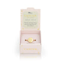 Zodiac Signet Rings | Various Star Sign