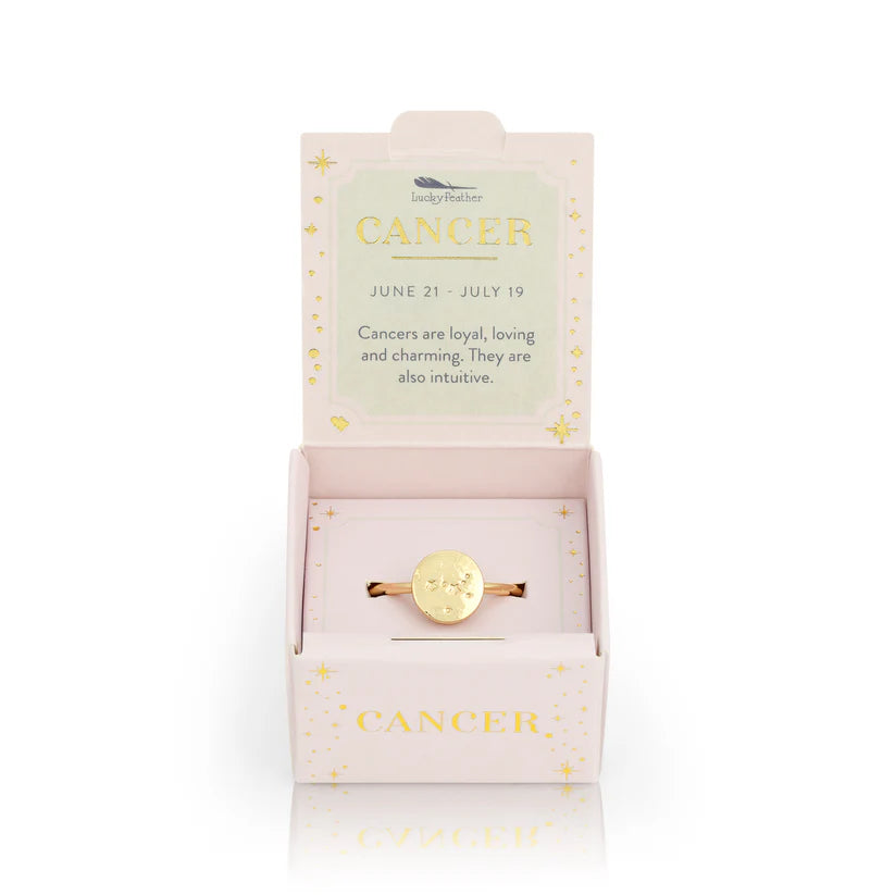 Zodiac Signet Rings | Various Star Sign