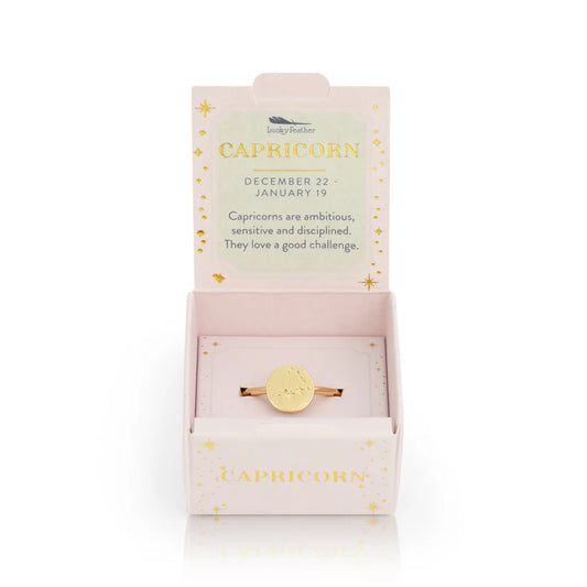 Zodiac Signet Rings | Various Star Sign