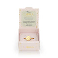 Zodiac Signet Rings | Various Star Sign