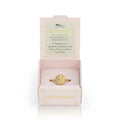 Zodiac Signet Rings | Various Star Sign