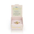 Zodiac Signet Rings | Various Star Sign