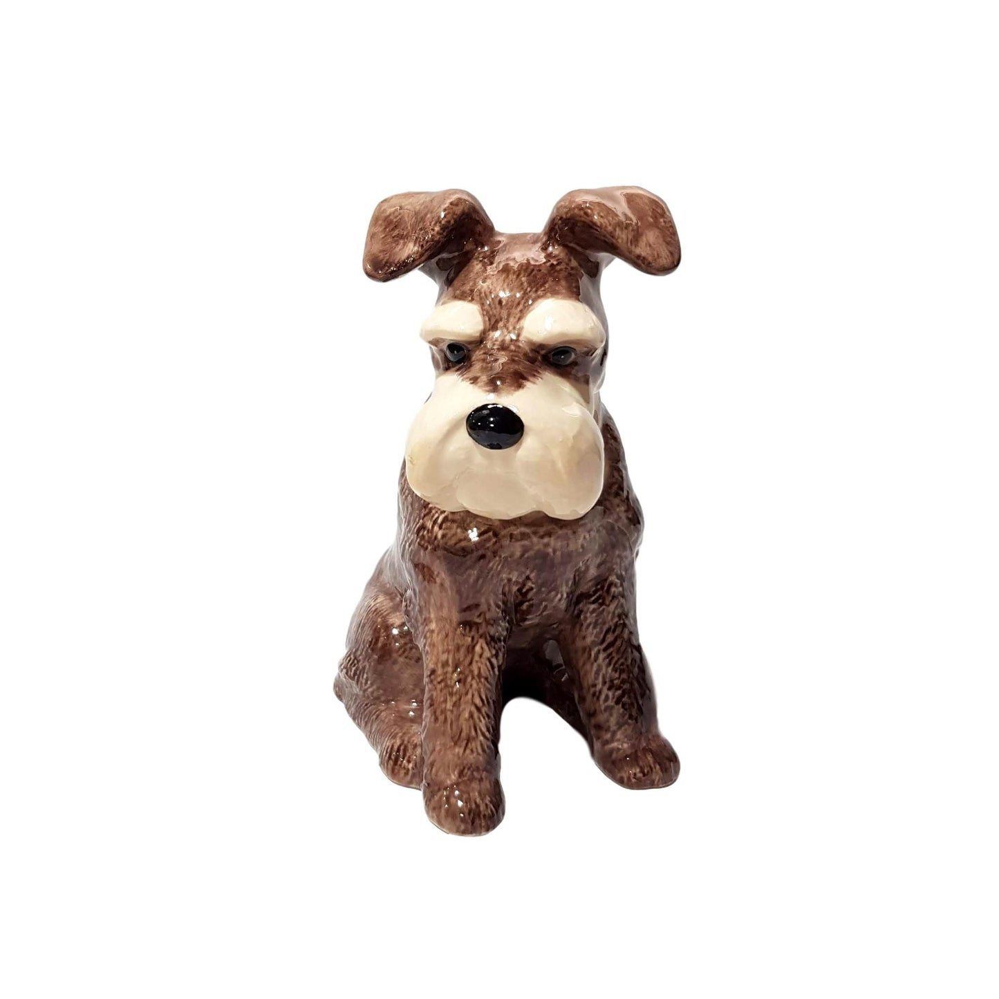 Schnauzer Money Box