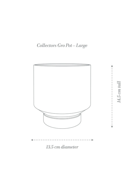Collectors Gro Pot | Large Ochre