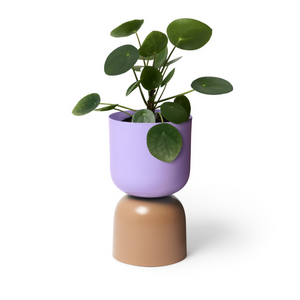 Tone Planter | Lilac and Sorrel